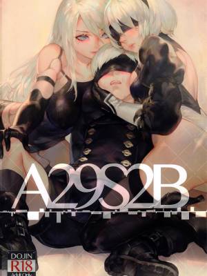 A29S2B