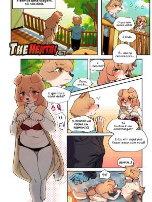 Furry Hentai Comics