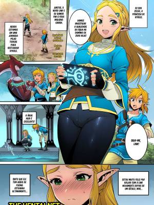 Taking Steps to Ensure Hyrule's Prosperity! Hentai pt-br 04