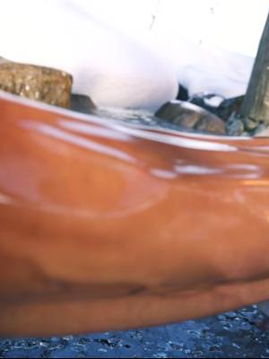 Lara At The Onsen Hentai pt-br 23
